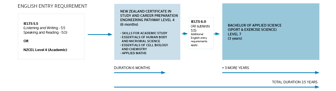 新西兰研究与职业制备证书 - 应用科学学士学位应用科学途径（运动与运动科学）